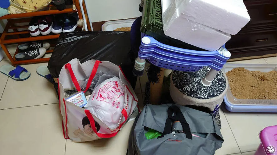 貓與蟲2020｜高雄「青松搬家公司」大推薦！費用很OK人又超親切！聯絡方式加LINE就OK～PTT、FB、Google評價好是有道理的！