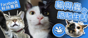貓與蟲的遊記生活FBBanner
